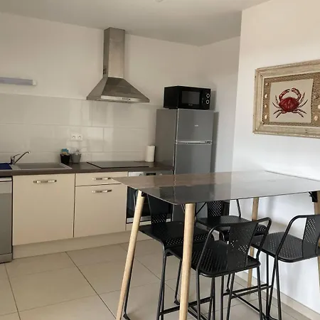 Apartman Cosy Avec Belle Terrasse A 250 M De La